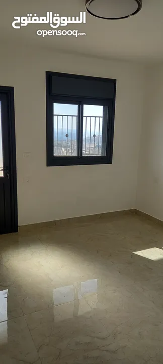 شقه للايجار