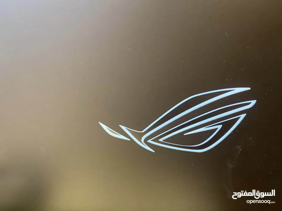ASUS ROG Strix G513RC (G513RC-ES73)
