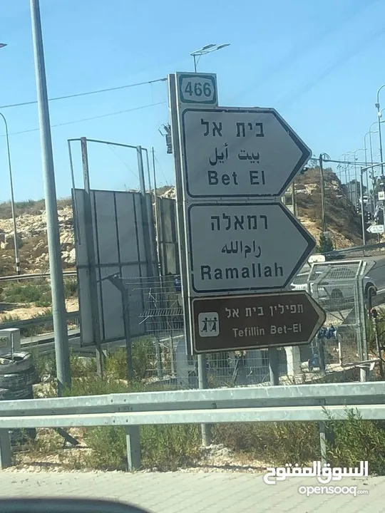 شقة للبيع في الماصيون