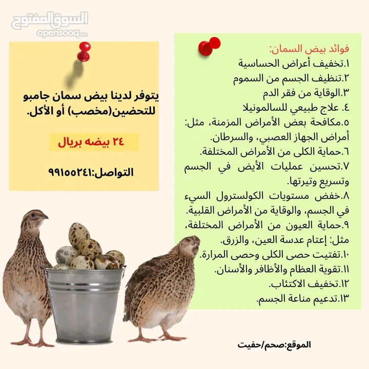 بيض سمان 24 حبه ف ريال