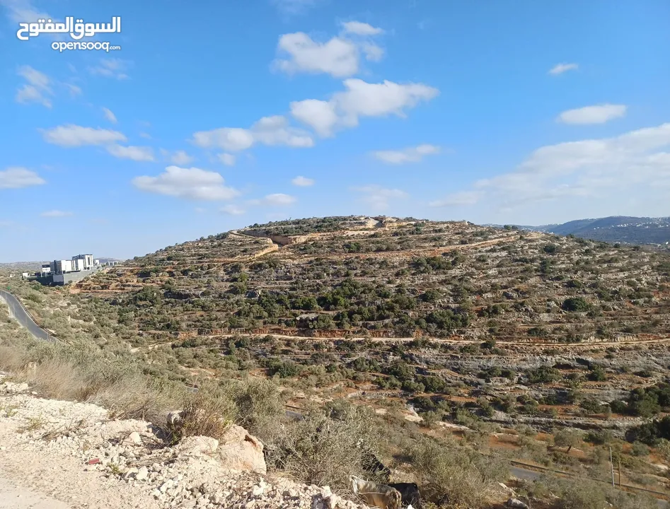 أرض مميزة للبيع في قراوة بني زيد تصنيف أ – موقع استراتيجي بجوار مشروع جوال وصوفيا بارك!