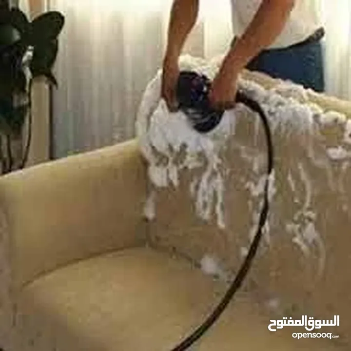 sofa shampooing service