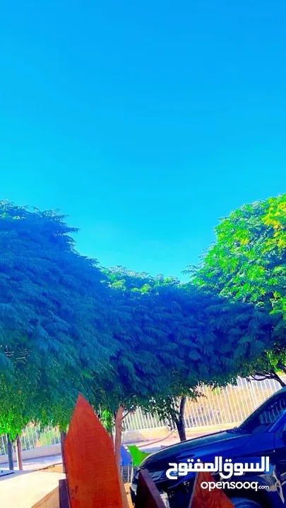 مزرعه شم النسيم للإيجار في بيرين صروت