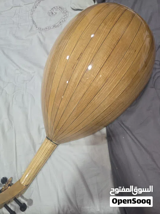 عود مصري للبيع