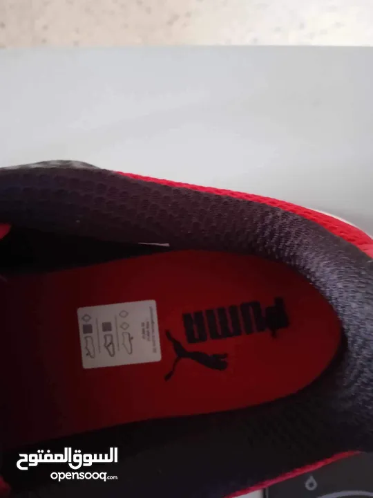 Adidas team bounce +nike react +puma ferrari neuf