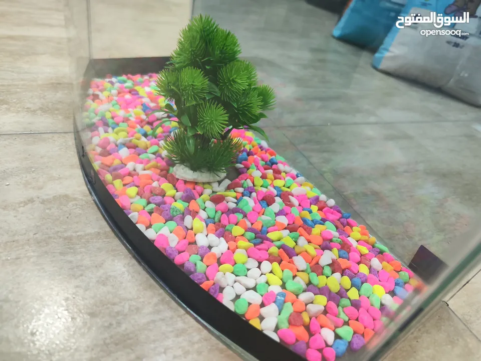 حوض سمك مجهز بالكامل ، حواف كيرف. قزاز مدعم صعب الكسر