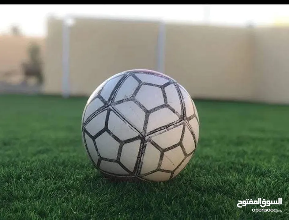 شاليه الروعه بلعما -رحاب اسعار منافسه على مستوى المملكه  للحجز والاستفسار الاتصال او التواصل عبر الو