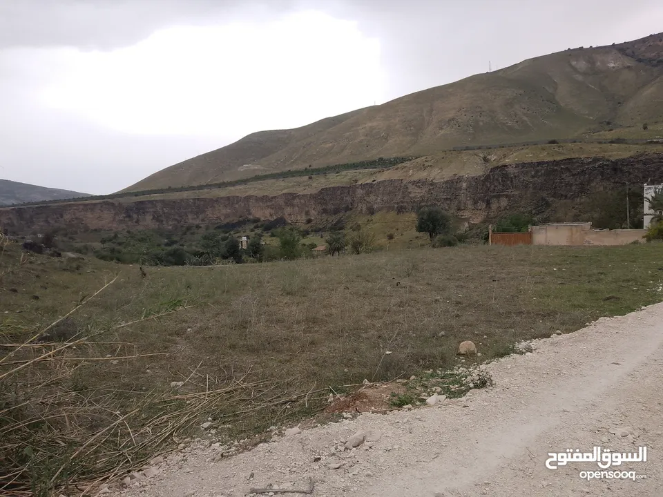 ارض للبيع في الحمه الاردنيه مزروع جوافه وكل انواع الحمضيات بثلاثه قواشين مستقلات ومتلاصقات لمالك واح