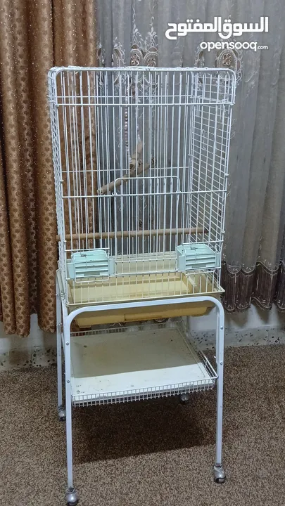 قفص كبير مع قاعده بفتح بابين نضيف للبيع