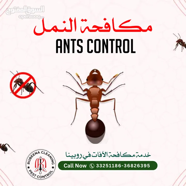 Pest Control Services contact only WhatsApp خدمات مكافحة الآفات