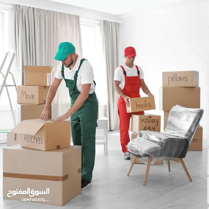 House movers packers  and transport and professional carpenter available