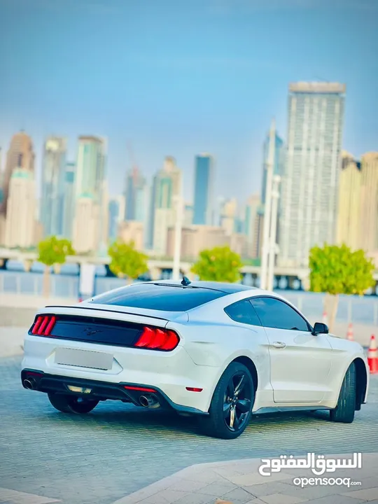 Ford Mustang EcoBoost 2022 LOW KM