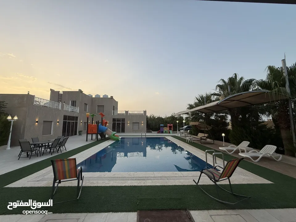 مزرعة نخيل مجهول مثمر ومنتج  + شاليه مودرن للبيع بأجمل مناطق الغور بالقرب من سد الكرامة 60 ك من عمان