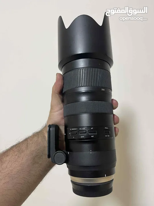 مع   canon 6dll  70/200 tamron