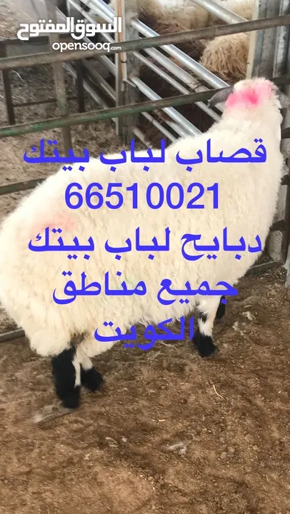 قصاب لباب بيتك/زبايح لباب بيتك لجميع مناطق الكويت جميع