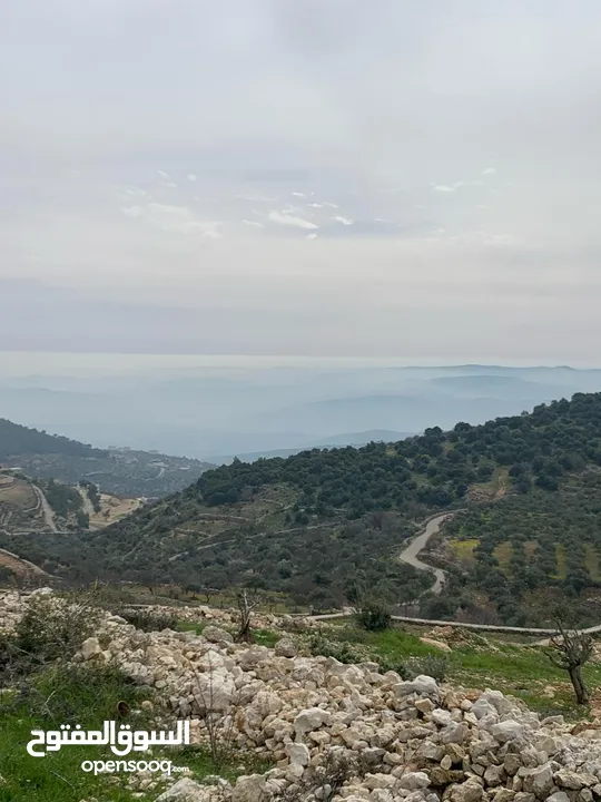 فرصة استثمارية! أرض زراعية مميزة بسعر مغري و بالقرب من أحراش الدولة للمزيد من المعلومات اقرأ الوصف
