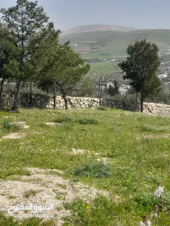 بيرين صروت 3400م تصلح لمزرعه مشكيه من جهتين عاليه كاشفه اجمل مواقع حوض مرج الاصفر شارع معبد خدمات