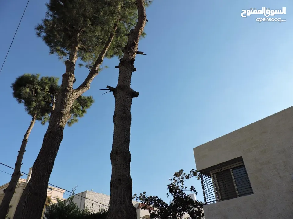 فيلا مستقلة للبيع خلدا العواجانيه على مساحة أرض دونم