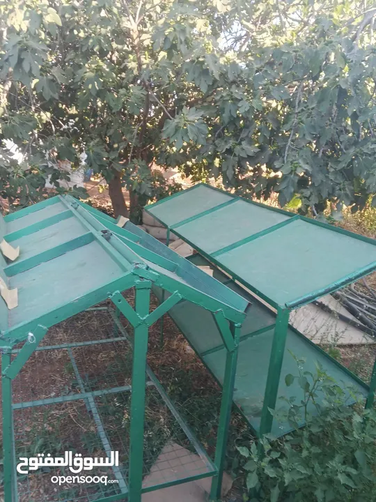 فرش محل خضار بحاله جيده