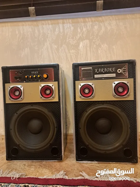 Bluetooth DJ Speakers
