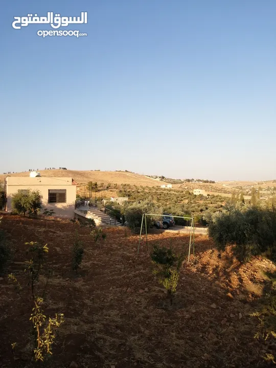 مزرعه للبيع من الملك مباشره