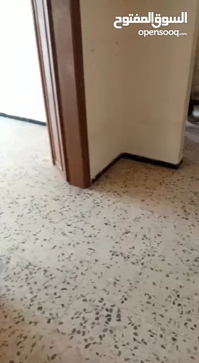 شقه للايجار