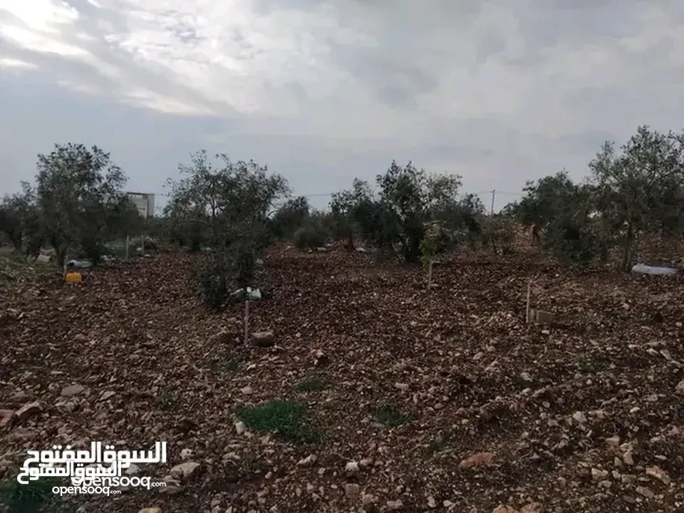 قطعة ارض مع بيت للبيع