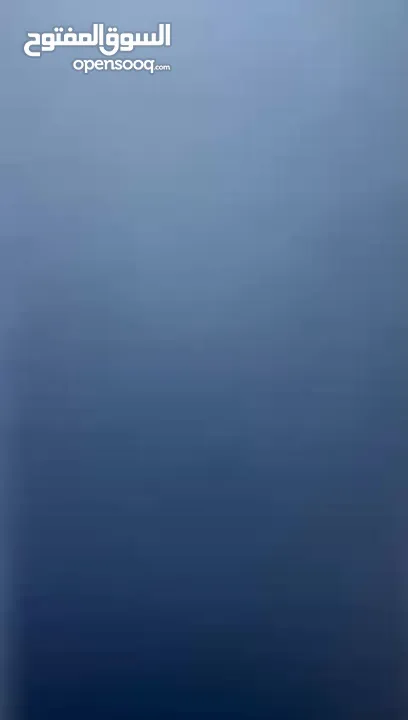 فلوكسفاجن بولو مديل 2009