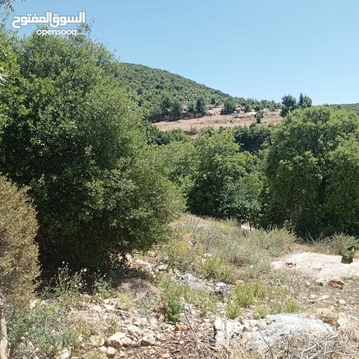منزل مستقل للبيع في عرجان للاستفسار على هاذ الرقم