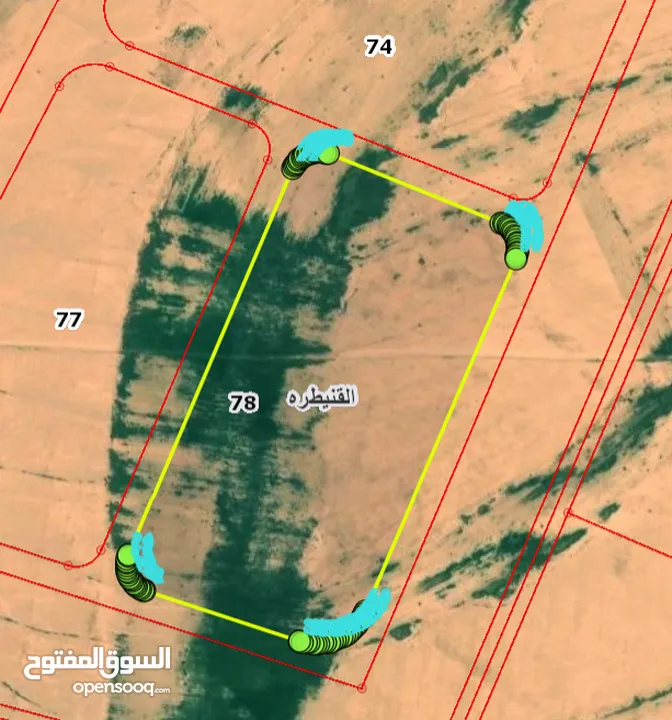 land for sale in alqunaitrah 61012sqm ( Property 38700 )-174714068