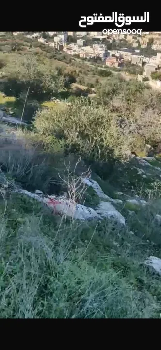 بيع ارض سكنية