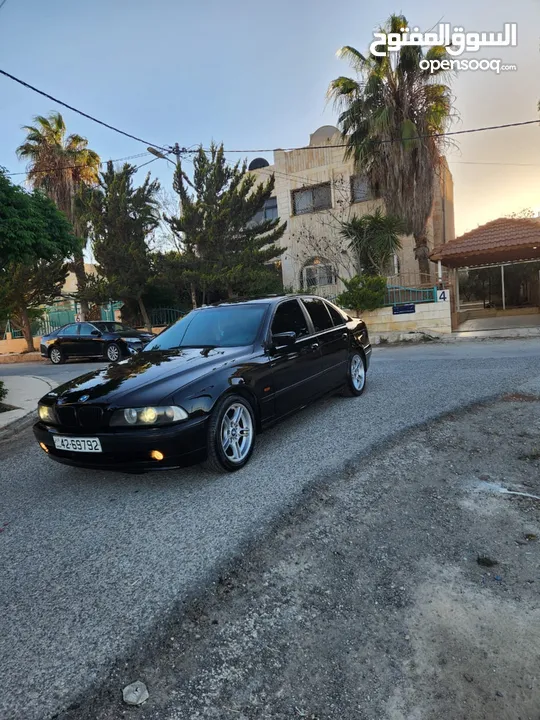 BMW E39 الدب