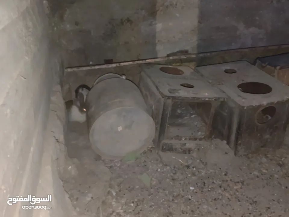 خمس اناثي وذكر شغالات للبيع  بسعر مناسب