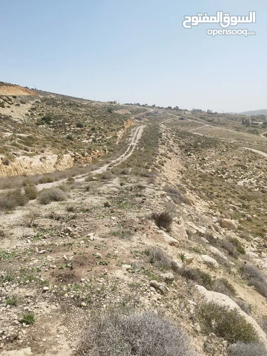 قطعة ارض للبيع بسعر مغري جدا