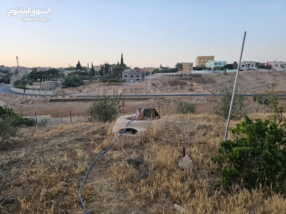 منزل مستقل لبيع في ذيبان