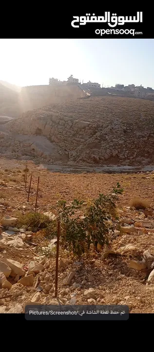 ارض للبيع في بيت لحم قرية الشواورة فيديو الارض على الصورة الرئيسة
