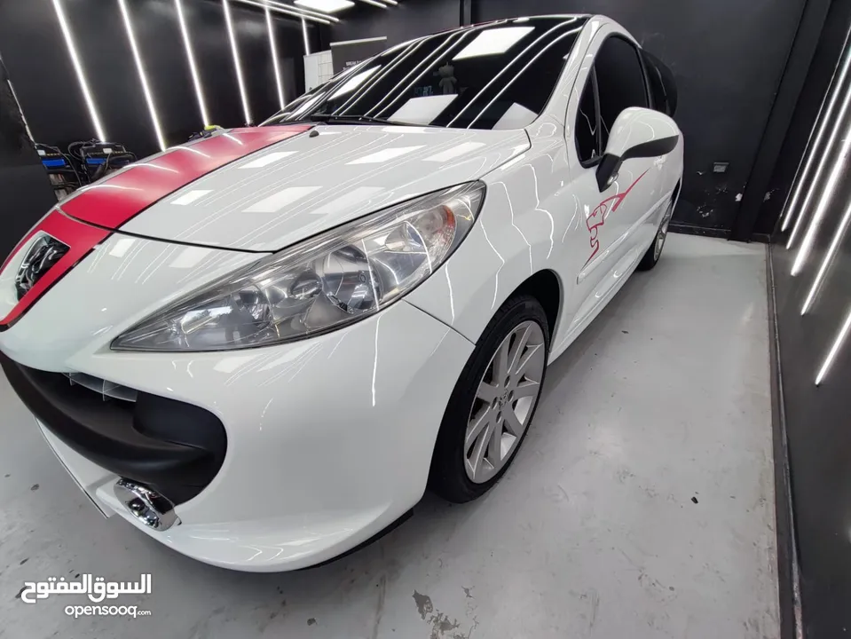 2009 Peugeot 207 RC LE MANS SERIES