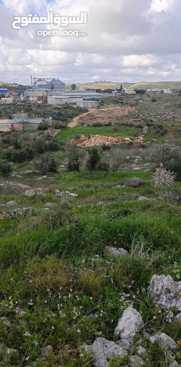 800متر مربع طابوا فلسطيني موقع مميز وجميل