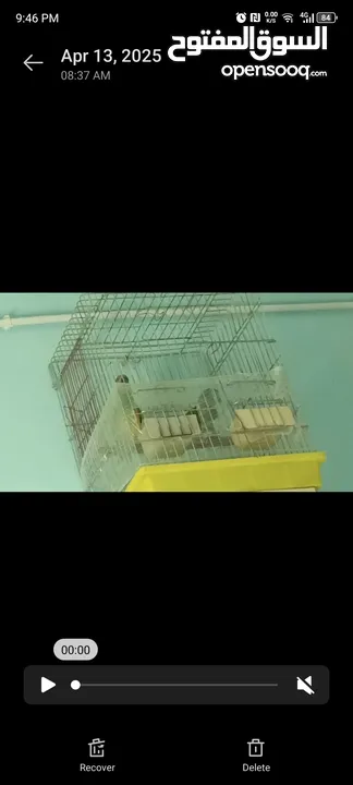 قفص كاسكو ثقيل  ماكليات اتوماتيكيه بتفصل القشر لحال و الحبوب لحال
