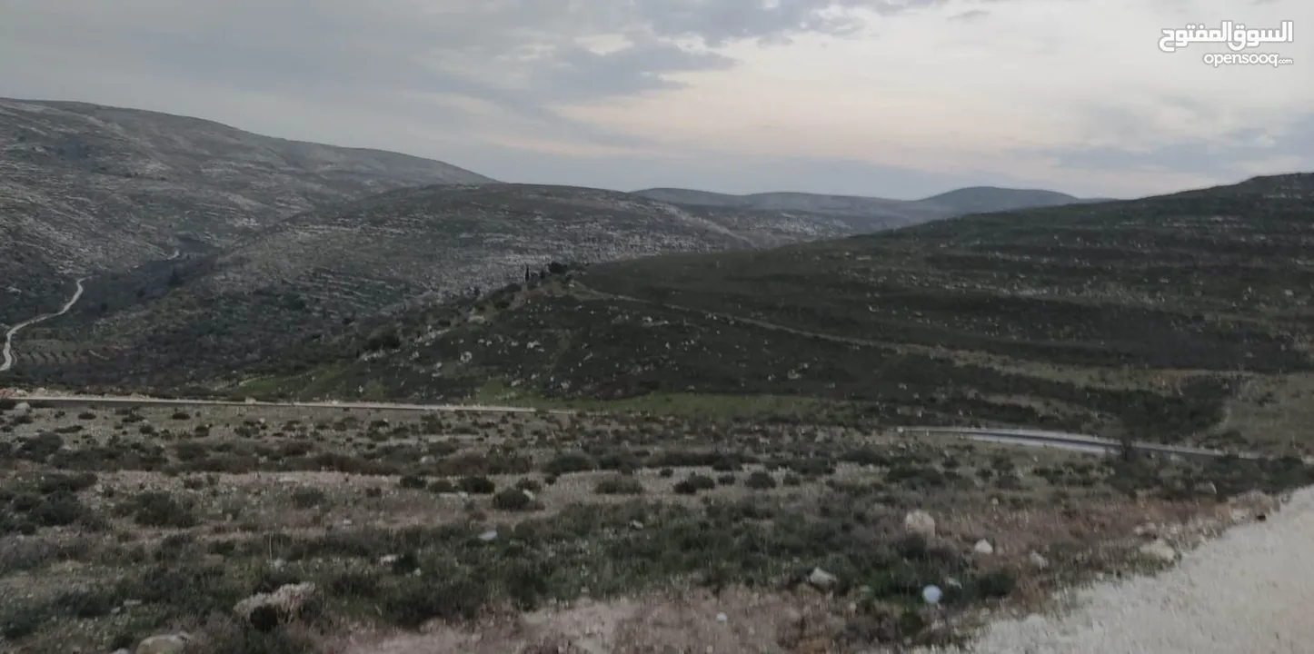 نمرة ارض في بيت امرين