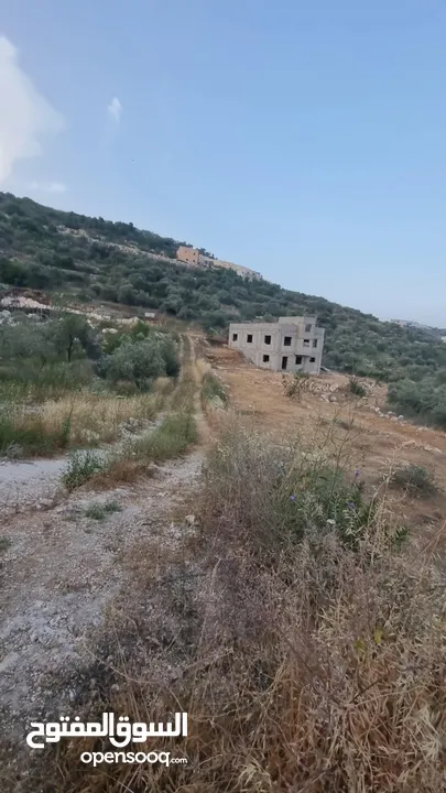 فرصة ارض للبيع بسعر مغري في طولكرم