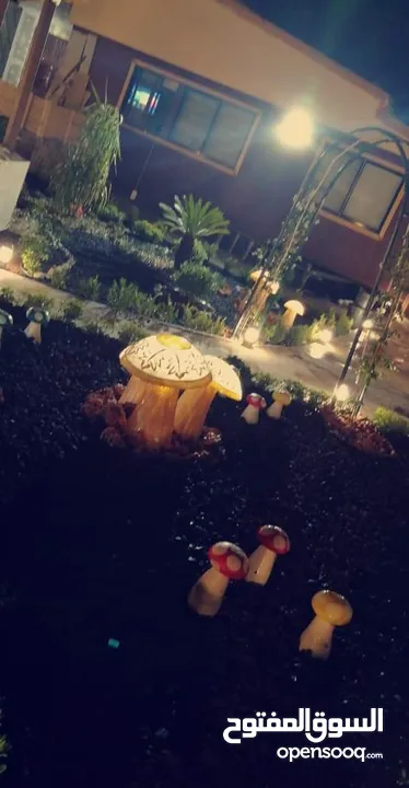 فطر مضيء الطقم 3حبات  اهلا وسهلا بكم