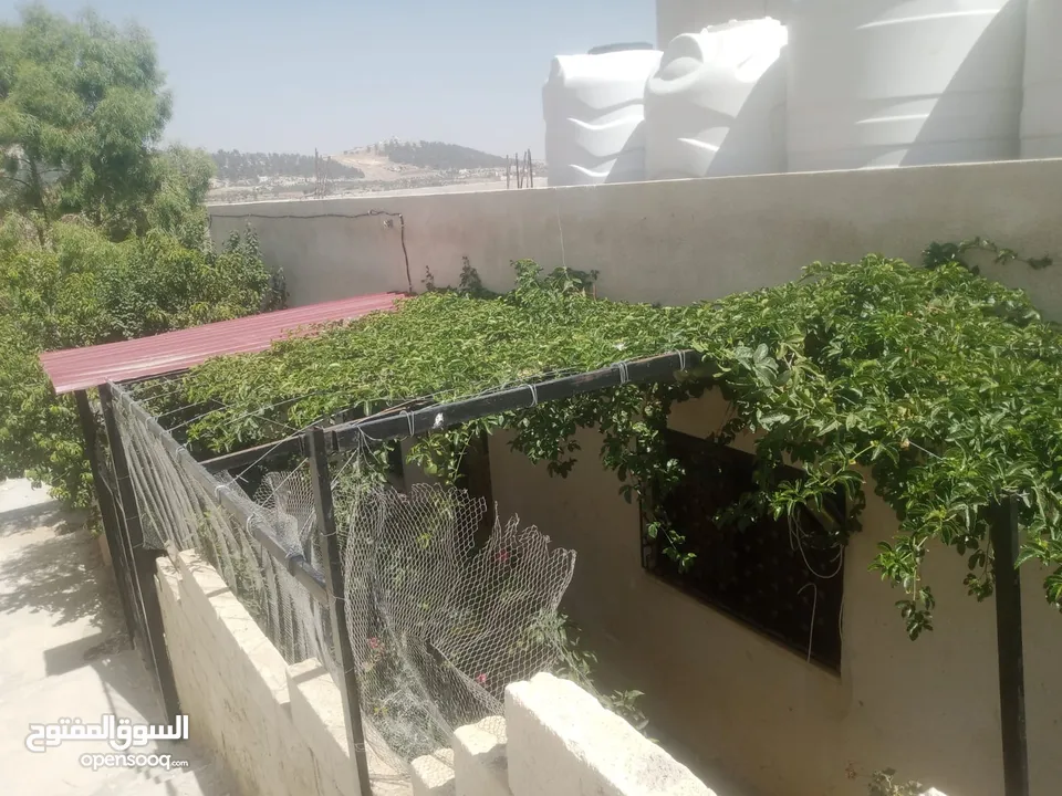 منزل مستقل جرش اسكان عجرمه  3غرف نوم 2حمام  صاله مع مطبخ امريكي  بلكونه  حديقه مساحه الارض 305