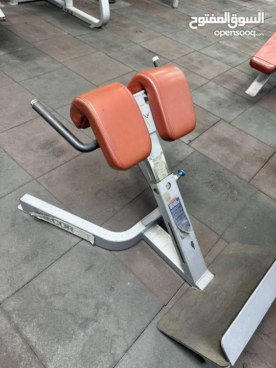 معدات رياضيه