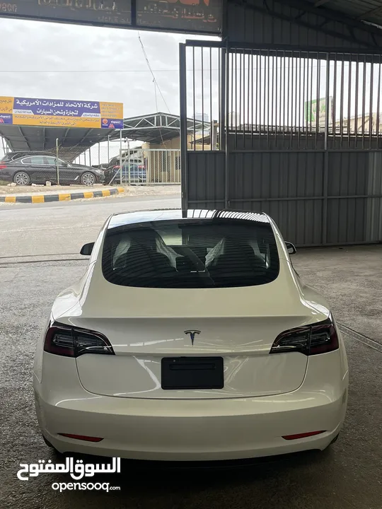 تيسلا 3 2023 ستاندر بلص ممشى 4000ميل فقط بحالة زيو مميزة فحص كامل