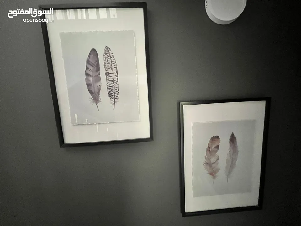 Pair of monotone glass framed feather prints