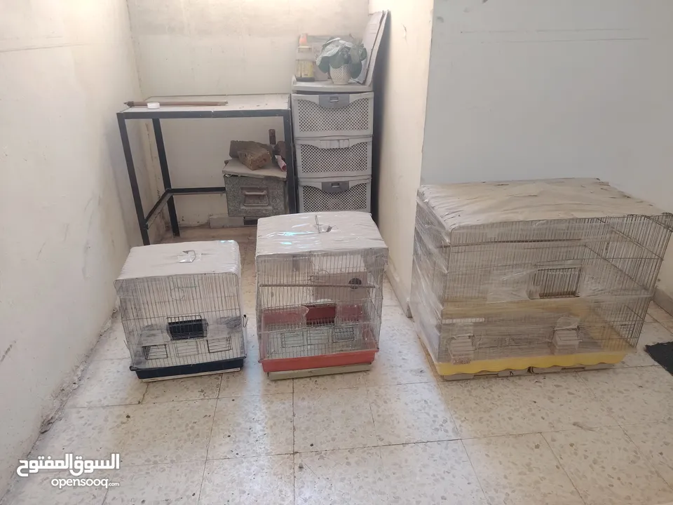 قفاص للبيع