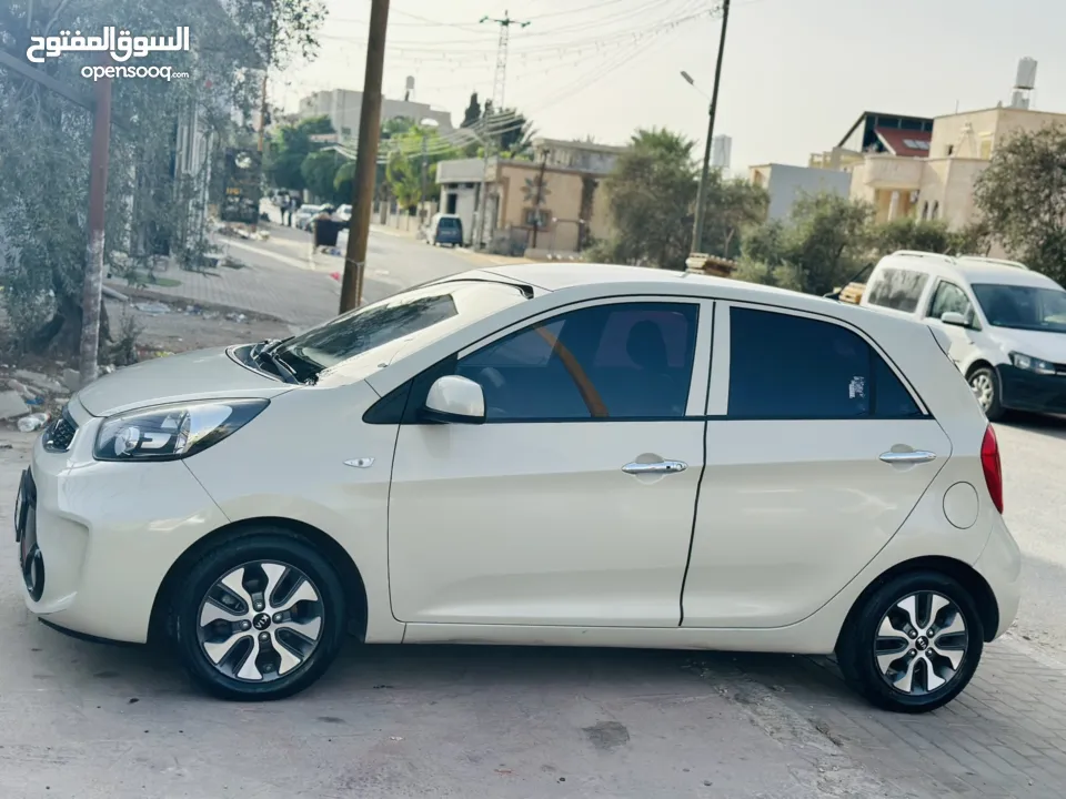 كيا مورنيج جيتي لاين