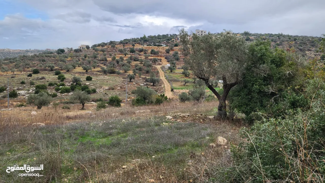 كوبر/ ارض مساحه 930 متر للبيع من المالك المباشر