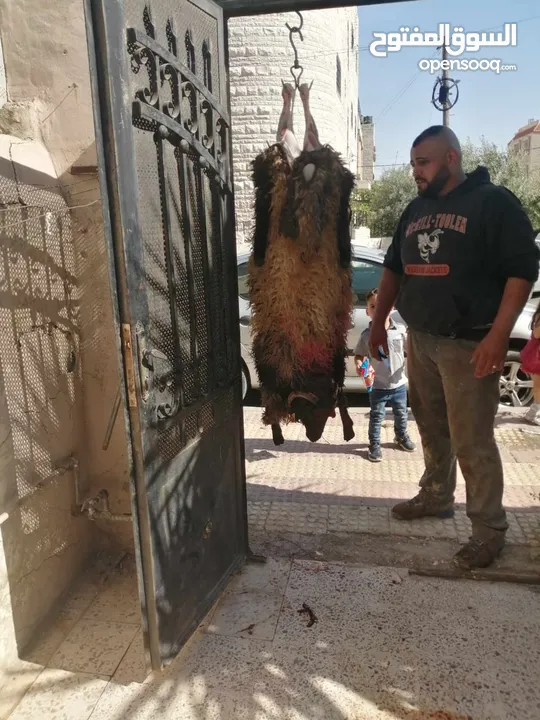 لحام جزار متنقل